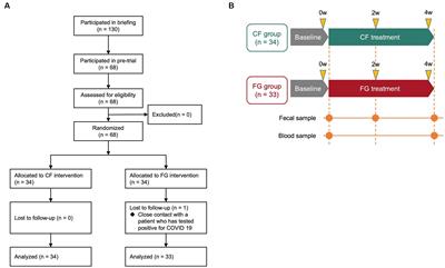 The differential effect of two cereal foods on gut environment: a randomized, controlled, double-blind, parallel-group study